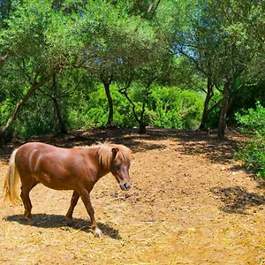 Putxet D'en Robi By Mallorca Selection Villa Sineu (Mallorca)